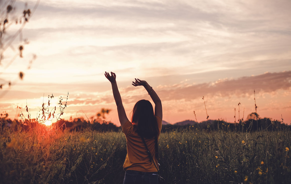 Sunset in a field with person celebrating